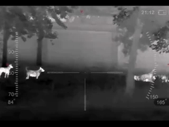 monocular termográfico