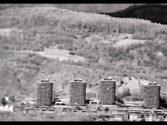 FW-S256G Telescopio monocular de imágenes térmicas infrarrojas