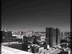 monocular termográfico